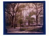 [Flatiron Building from Madison Square Park]