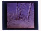 Winter, Prospect Park Niagara Falls