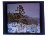 Adirondacks Lake George Hotel