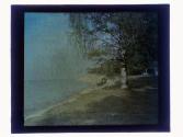 Troutberg Hamlin Park