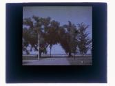 [Trees and water]