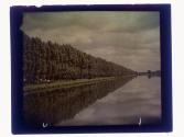 [Trees and water]