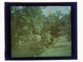 Ellison Park 1931
