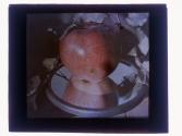 Apple in mirror