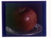 [Apple on plate]