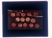 [Arranged apples]