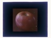 [Apple]