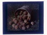 Peaches Tip Basket