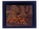[Pumpkins and corn stalks]