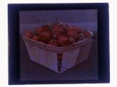 Berries