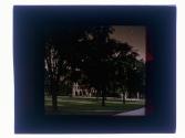 [Trees and architecture]