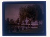 [Trees along river]