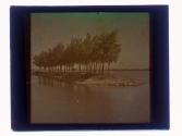 [Island of trees along river]