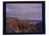 Bay