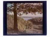 [Landscape with water]