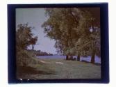 Glen Haven