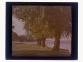 Glen Haven