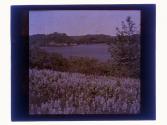 [Landscape with water]