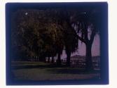 [Trees along water]