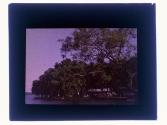 [Landscape with water]
