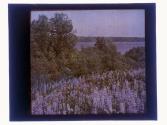[Landscape with water]