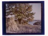 [Landscape with water]