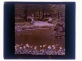 Jones Park