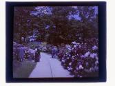 Rochester Parks 1926