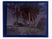 [Garden with water]