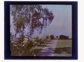 [Garden with water]