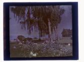[Garden overlooking water]
