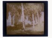 [Garden with water]