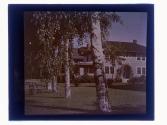 [House and garden]