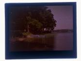 Conesus