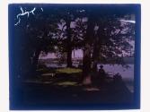 Long Point Conesus Lake