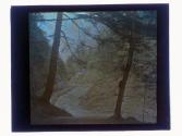 Stoney Brook Glen