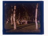 Birchgrove Big Woods Forest Lawn