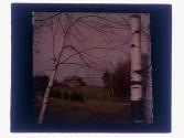 [View of house]