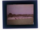 [Floral replica of American flag]
