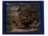 [Park with Capital in distence]