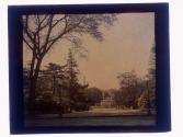 [Park with Washington Monument in distence]