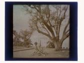 [Garden overlooking water]