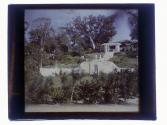 [House and garden]