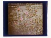 [Flowers]
