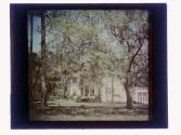 [House and trees]