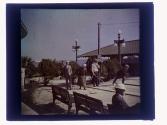 [Shuffle board players]
