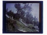 [Garden steps]
