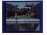 [House and water]