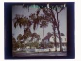 [House and trees, Daytona, Florida]