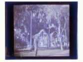 [Trees along sidewalk]